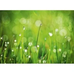 Eurographics Kitchen Glas SpritzschutzGreen Morning II 65cm X 90 Cm -Kuchenwelt 561830 1041 dgs dt40091 1